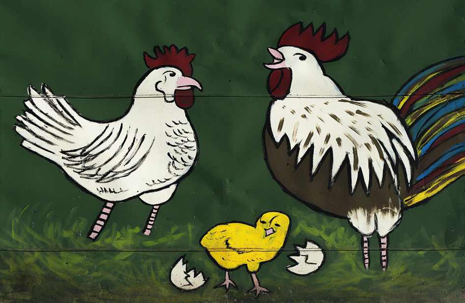 Private chicks en Italy, Perugia
