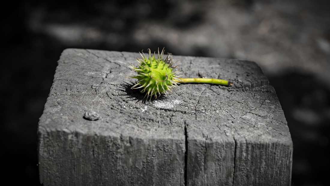 Putas en tu área en Espana, Barakaldo