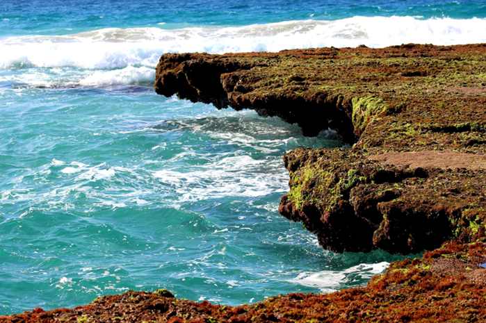 Sexo oral en Algeria, Chlef