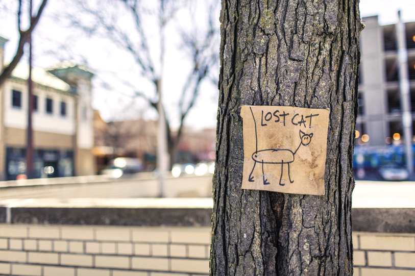 Syssota, Coño prieto en Cutral-Co Neuquen