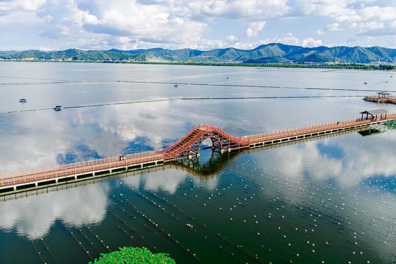 Verga larga y fina en Brazil, Campinas