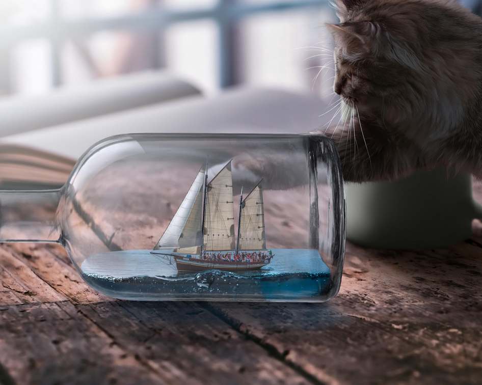 Cat Cross Slot Start Now